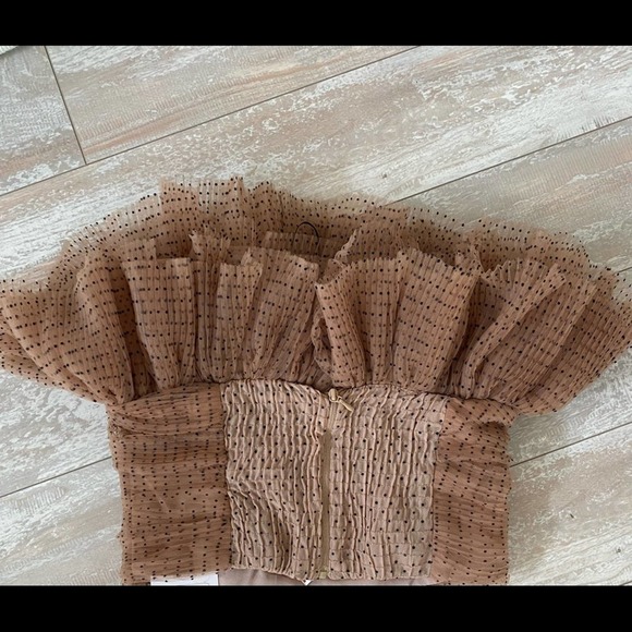 NWT Zara Nude Polka Dot Tulle Ruffle Top Size XS - Picture 9 of 11